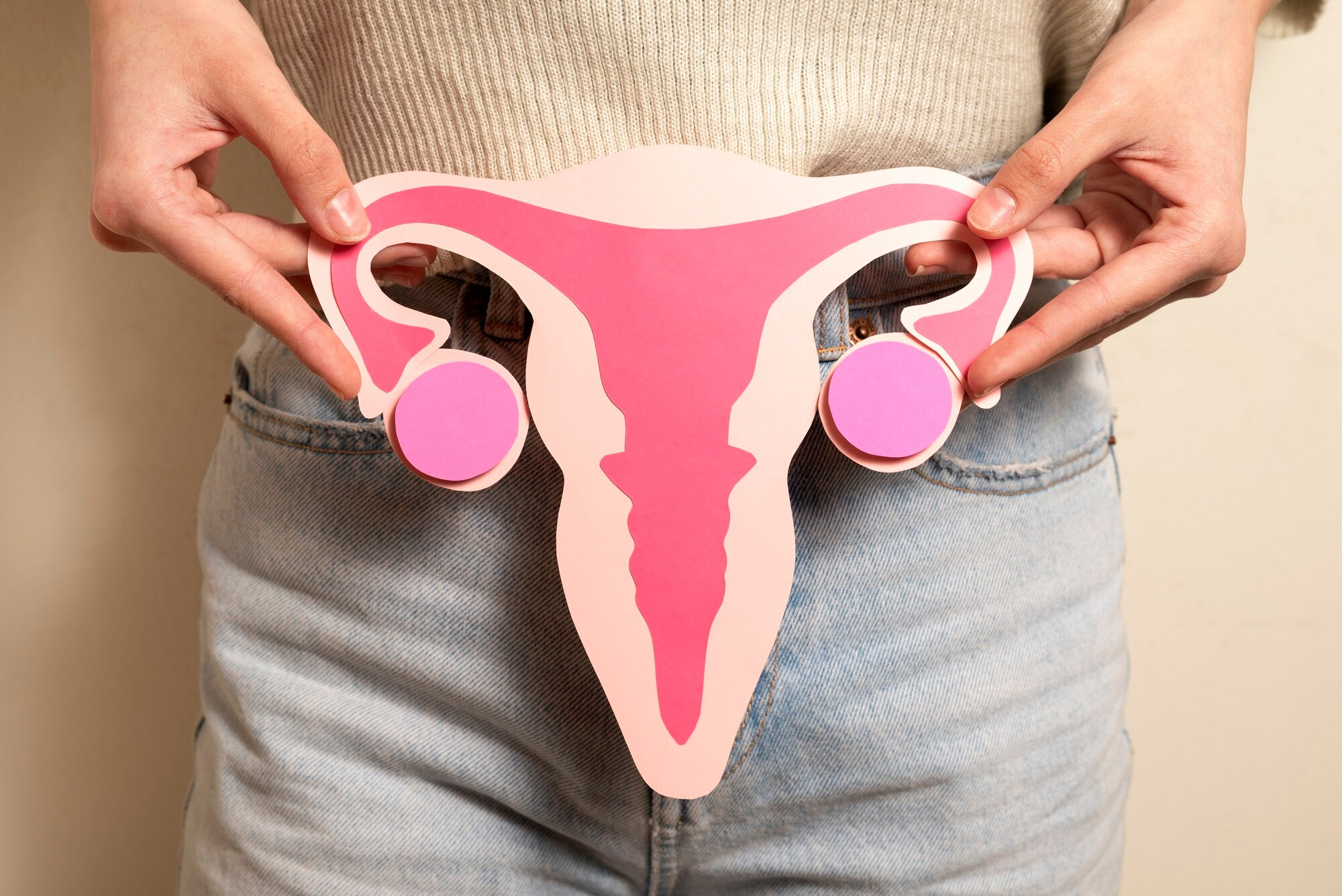 Front view woman holding reproductive system